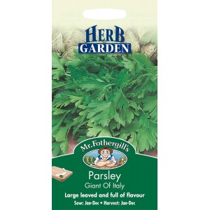 Mr.Fothergill's Parsley Giant Of Italy Seeds