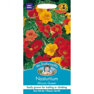 Mr.Fothergill's Nasturtium African Queen