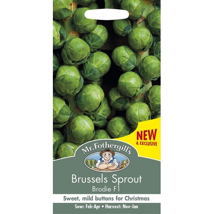 Mr.Fothergill's Brussels Sprout Brodie F1 Seeds
