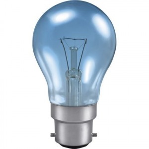 Eveready 100W BC Craft Light Daylight Blue