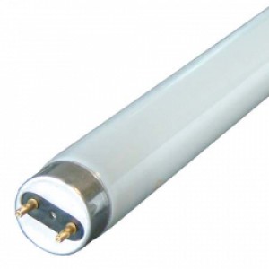 Fluor Tube 4ft 36W/840