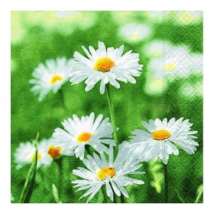 Lunch Napkins 33 x 33cm Full of Daisies Park 20