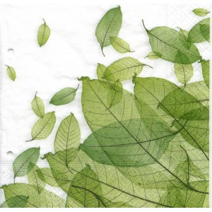 Lunch Napkins 33 x 33cm Touch of Nothing Pack 20