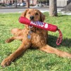 Signature Stick Dog Toy with Rope Medium