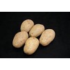 JBA Valor Seed Potatoes 2kg