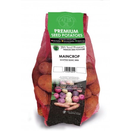 JBA Valor Seed Potatoes 2kg