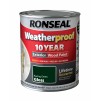 Ronseal 10 Year Exterior Gloss 750ml