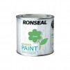 Ronseal Garden Paint 250ml