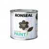 Ronseal Garden Paint 250ml