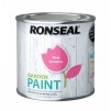 Ronseal Garden Paint 250ml