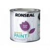 Ronseal Garden Paint 250ml