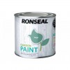 Ronseal Garden Paint 250ml