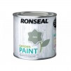 Ronseal Garden Paint 250ml
