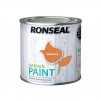 Ronseal Garden Paint 250ml