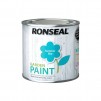 Ronseal Garden Paint 250ml