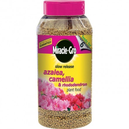 Miracle-Gro Slow Release Azalea, Camellia & Rhododendron Plant Food