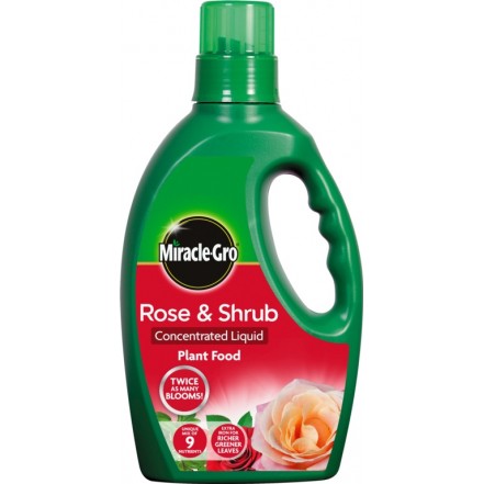 Miracle-Gro Rose & Shrub Plant Food