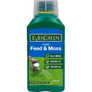 EverGreen Liquid Feed & Moss