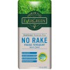 EverGreen No Rake Moss Remover