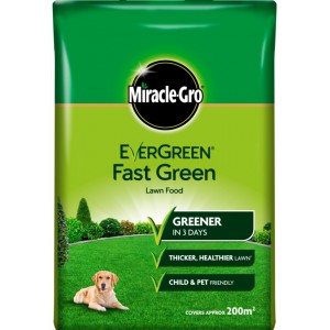 EverGreen Evergreen Fast Green 200m2 Bag