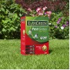 EverGreen Fast Grass Lawn Seed