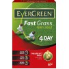 EverGreen Fast Grass Lawn Seed