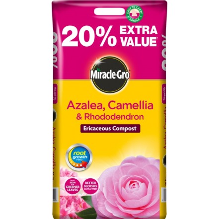Miracle-Gro Azalea, Camellia & Rhododendron Compost