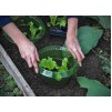 Defenders Slugs Away Plant Protection Guard - 3 Pack