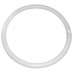 Eveready 40W T9 Triphosphor Circular Tube White