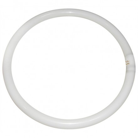 Eveready 40W T9 Triphosphor Circular Tube White
