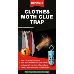 Rentokil Clothes Moth Glue Trap