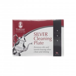 Tableau Silver Cleaning Plate