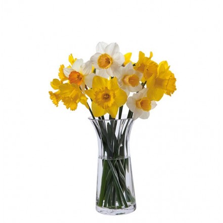 Dartington Florabundance Daffodil Vase