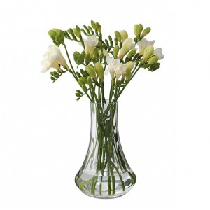 Dartington Florabundance Freesia Vase
