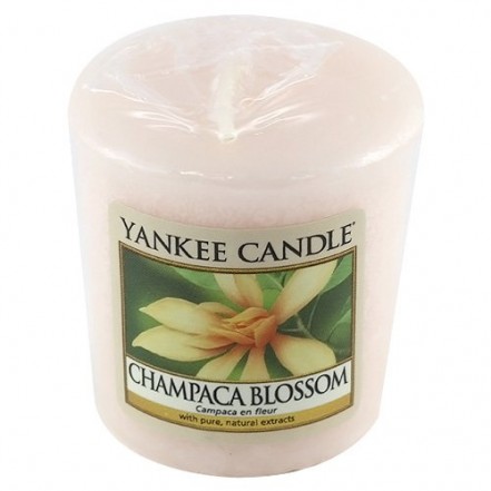 Yankee Champaca Blossom Votive/Sampler