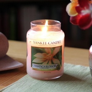 Yankee Scented Candles Champaca Blossom