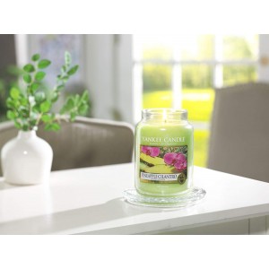 Yankee Scented Candles Pineapple Cilantro