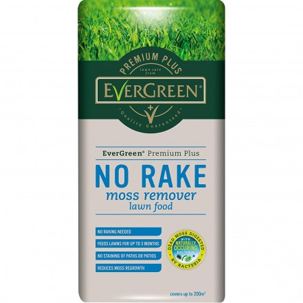 EverGreen No Rake Moss Remover