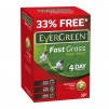EverGreen Fast Grass Lawn Seed
