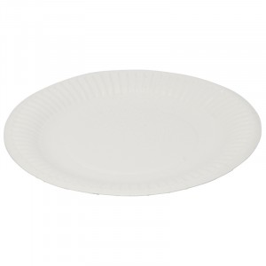 Caroline Paper Plates Pack of 20