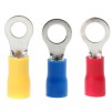 Jegs Insulated Ring Terminal Pack 10