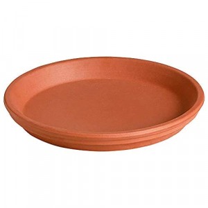 Deroma Plant Saucer Terracotta